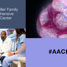 UCSF at AACR25